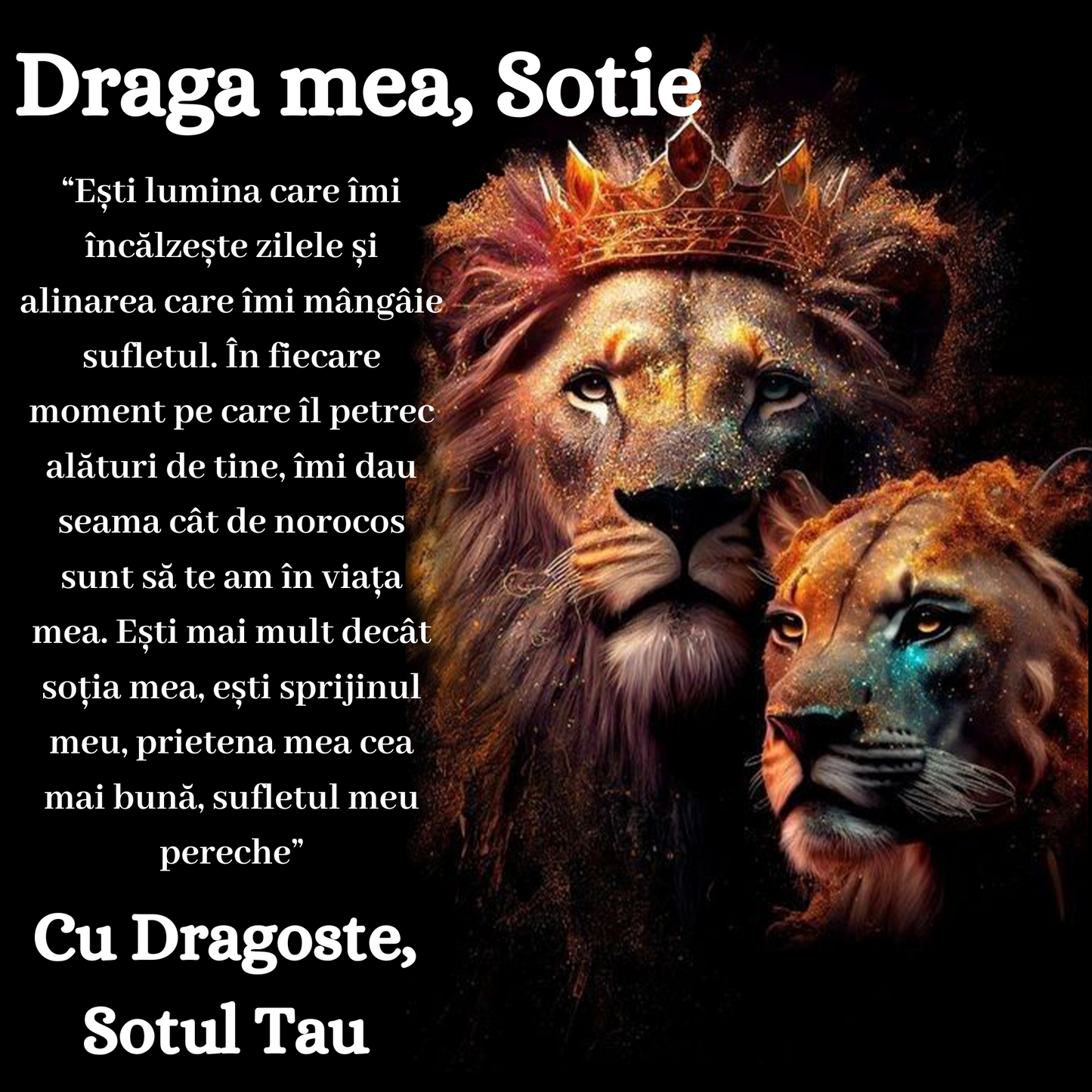 Cadou Sotie – Colier Argint 925 cu Zirconiu și Mesaj de Dragoste