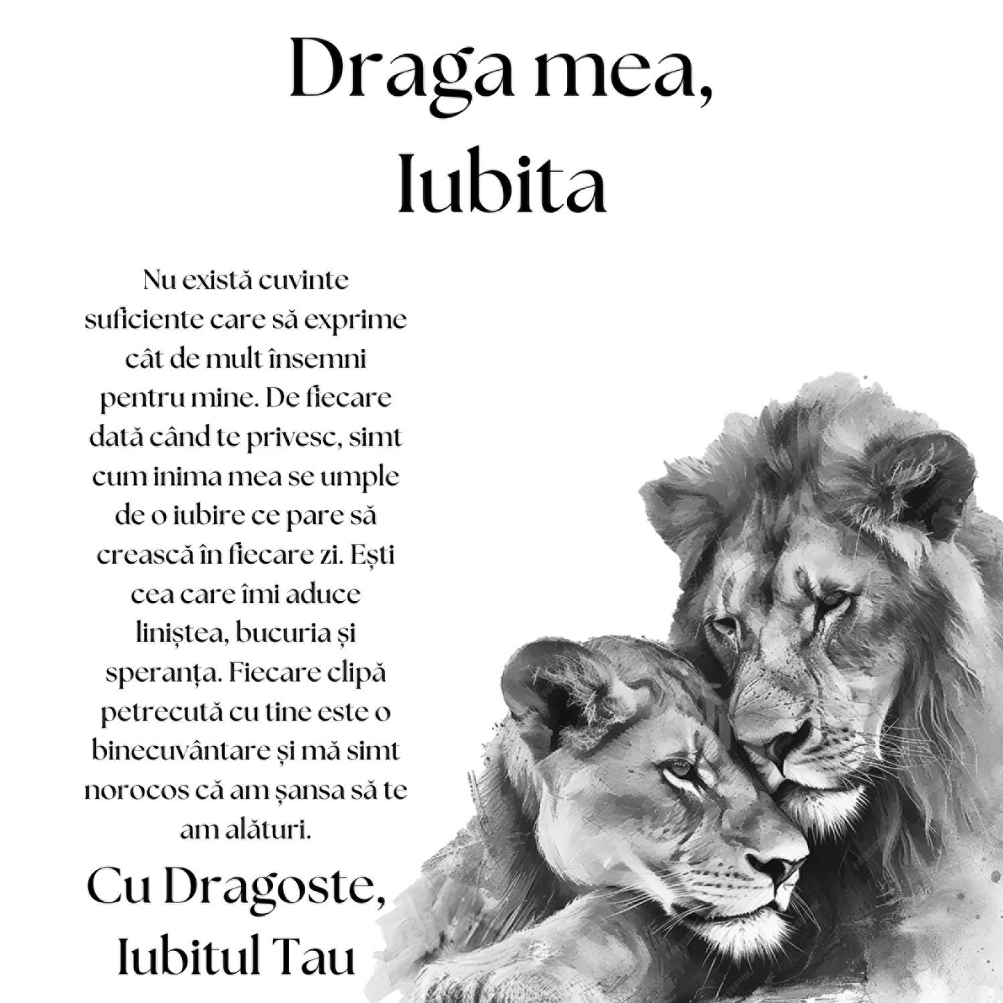 Cadou Iubita – Colier Argint 925 cu Zirconiu și Mesaj de Dragoste