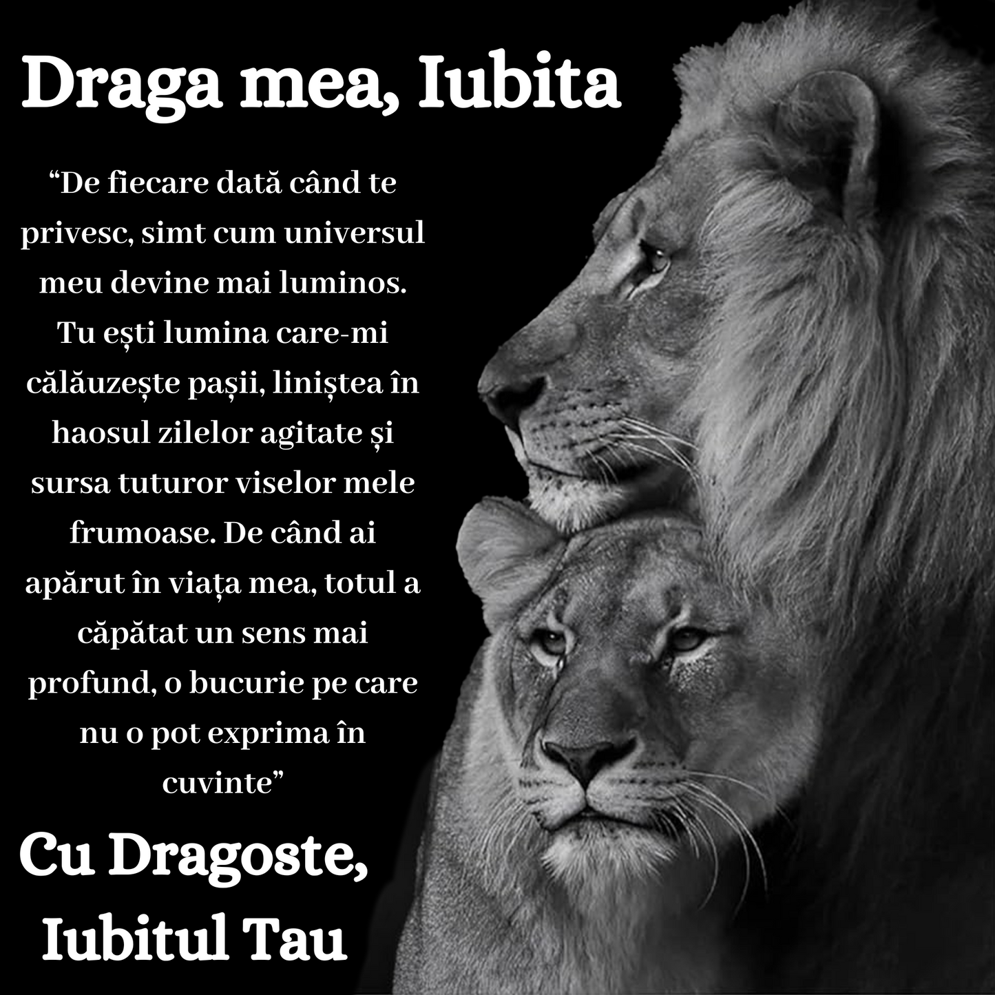Cadou Iubita – Colier Argint 925 cu Zirconiu și Mesaj de Dragoste
