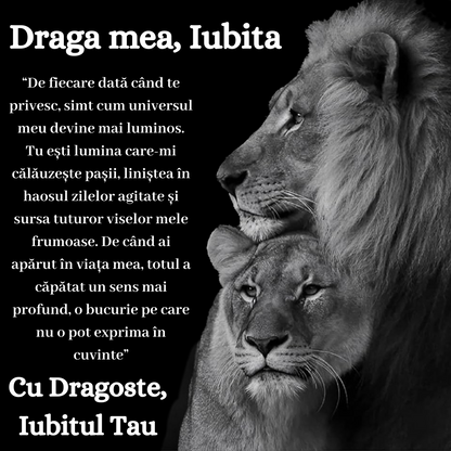 Cadou Iubita – Colier Argint 925 cu Zirconiu și Mesaj de Dragoste