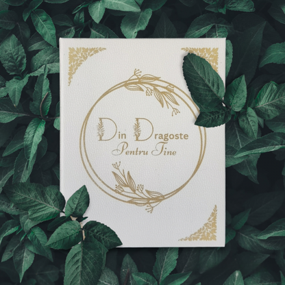 Set Cadou Colier din Argint 925 placat cu aur alb Rodiat, cutie deosebita in forma de carte cu mesaj emotionant in interior de la Mama pentru Fiica